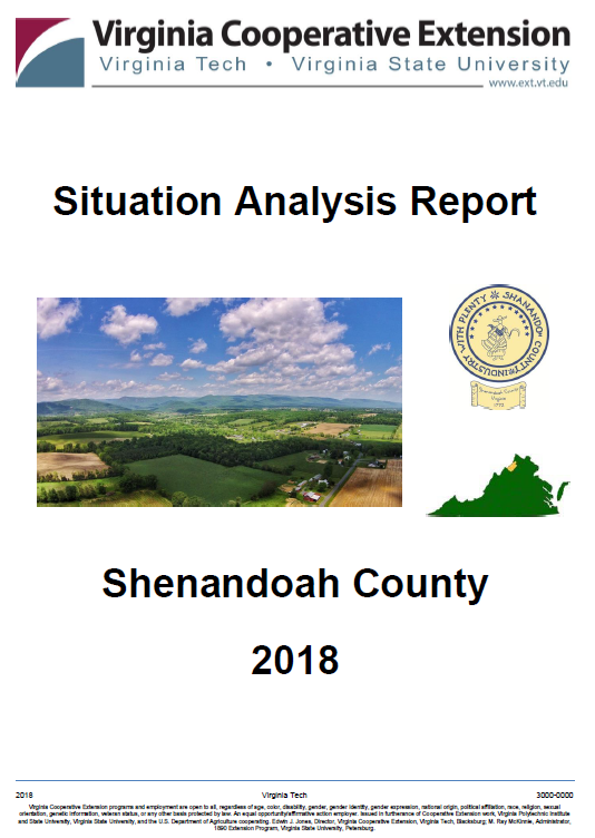 Picture of Situation Analysis Report